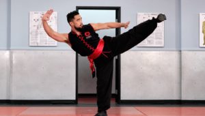 Image of a Combat Kung-Fu instructor demonstrating a side thrust kick
