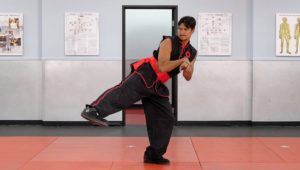 Tai Sifu Ben Stanley Demonstrating a Low Side Kick to the Knee