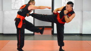 Tai Sifu delivers a side kick