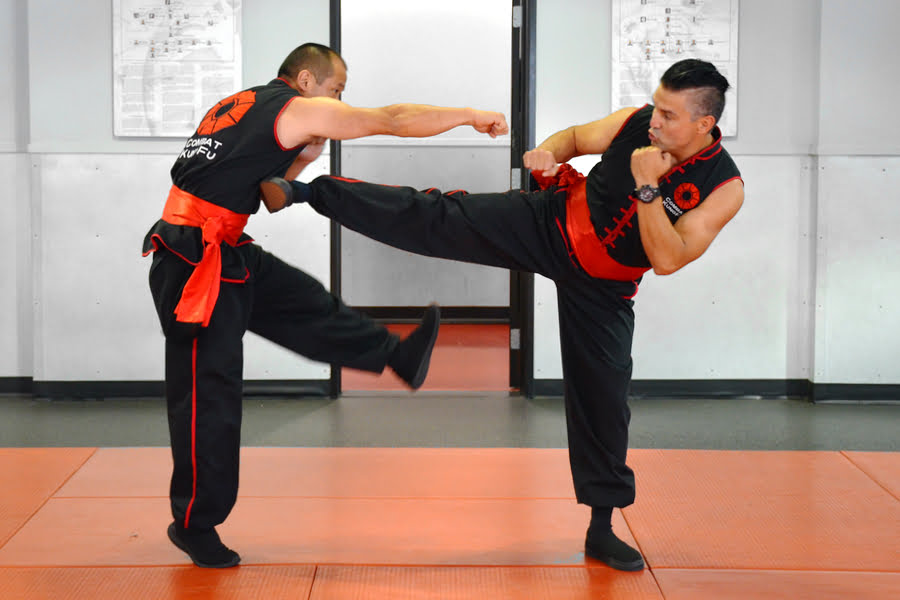 Tai Sifu delivers a side kick
